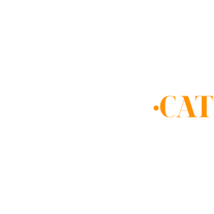 Logo Veuanoia.cat