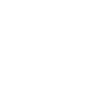 Logo Vibe